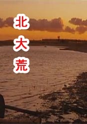 99久久99久久久99精品齐